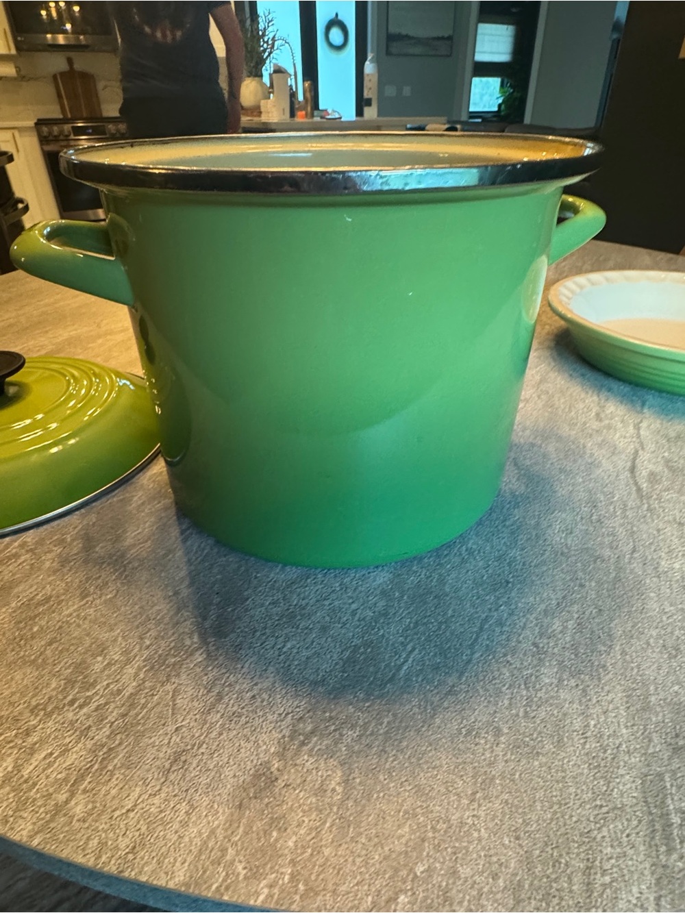 Le Cruset Stockpot with Lid (Palm)